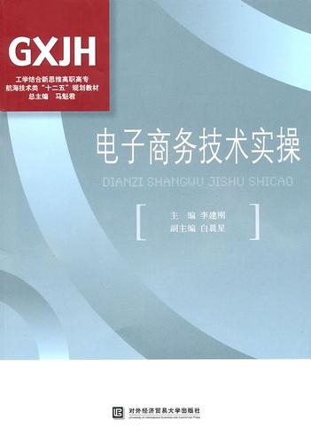 电子商务技术 从理论到实践的专业指南